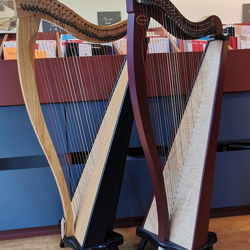 Audition de Harpe 1