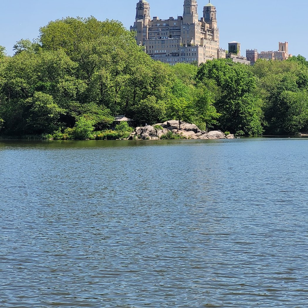 Iconic Views of Central Park Tour (Central Park Conservancy) 3