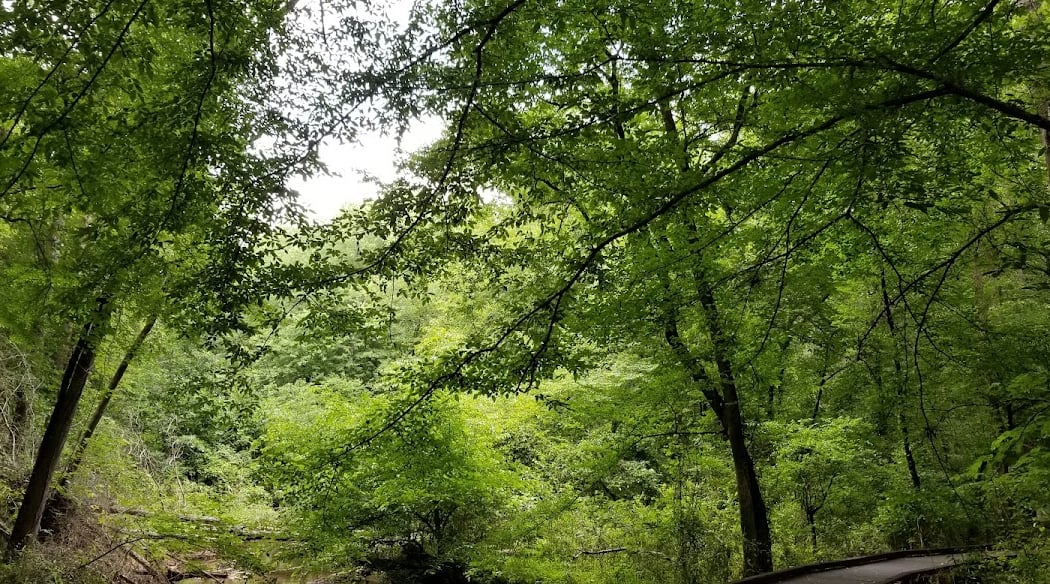 Flat Creek Nature Area 2