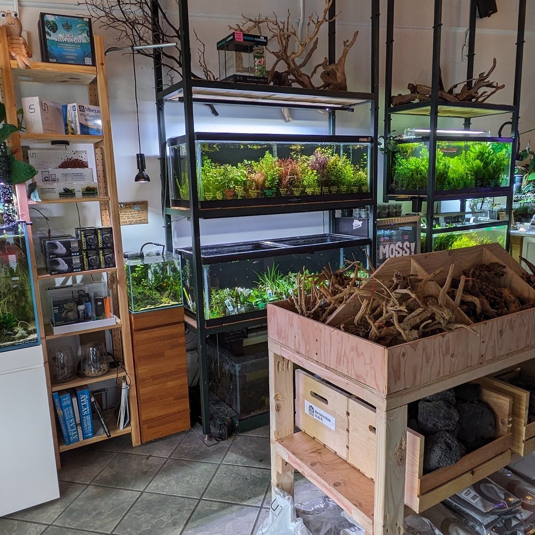 The Fish Barn 1