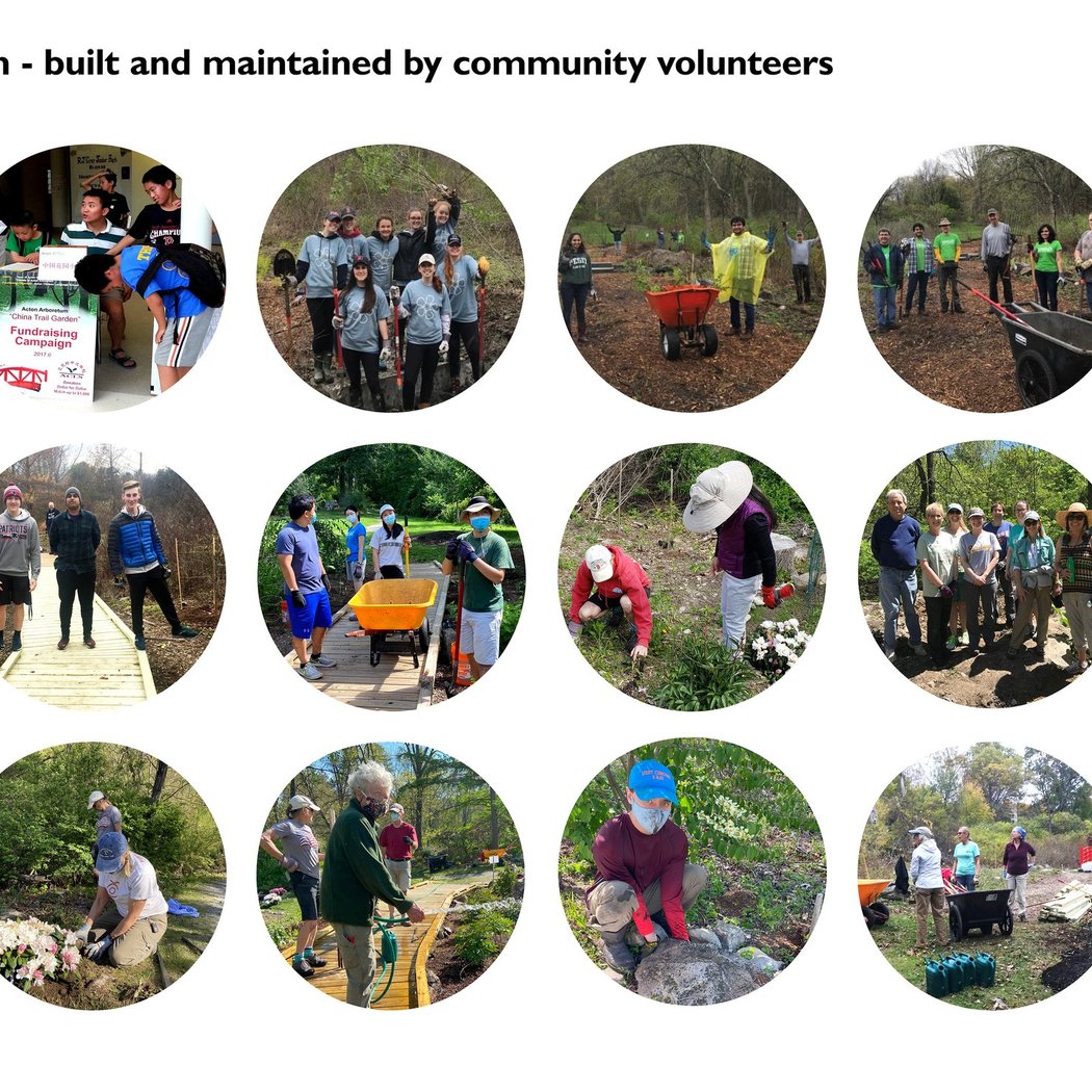 Acton Arboretum Volunteer Workday (Thursday) 1