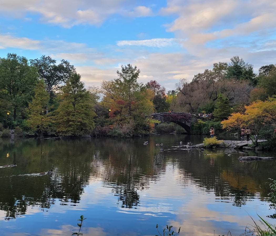 Harlem Meer Performance Festival 2