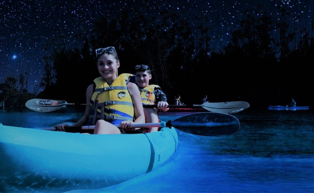 Bioluminescent Kayaking Tour 3
