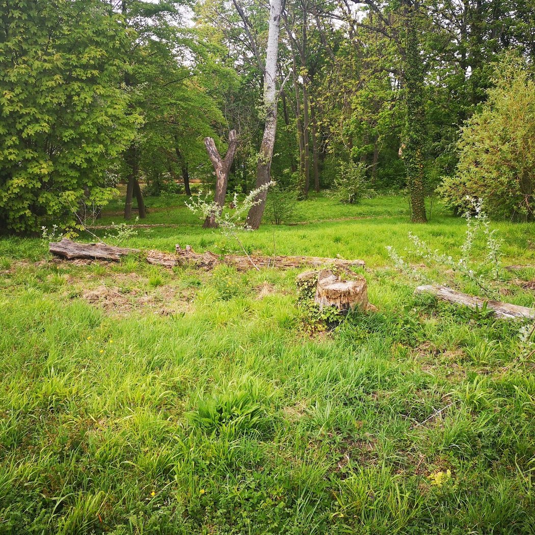 Parc Bellevue 4