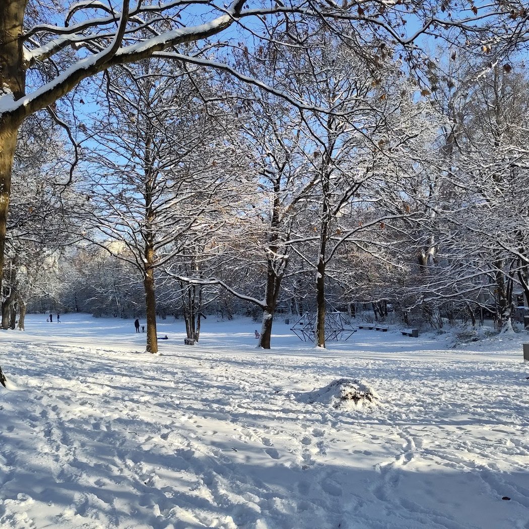 Maßmannpark 3