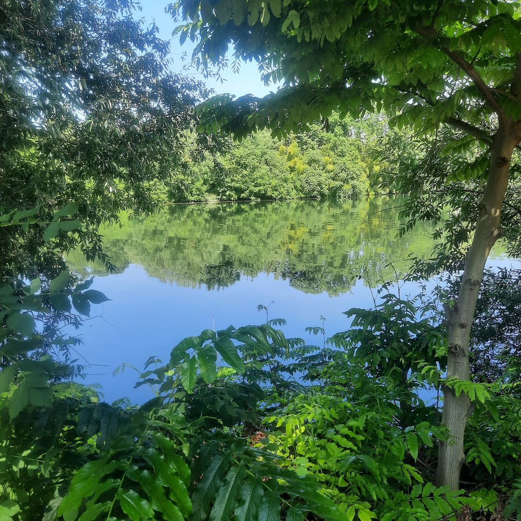 Les Berges De Seine 1