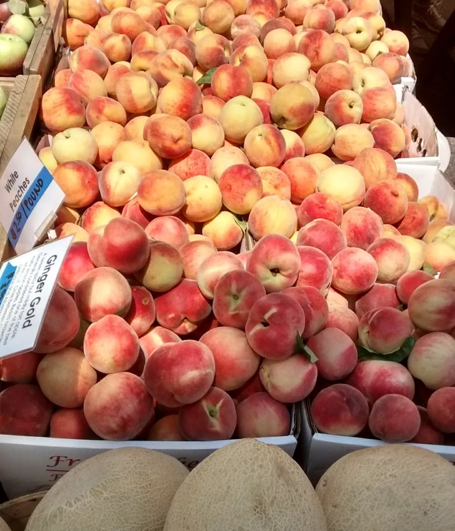 Davis Square Farmers Market 1