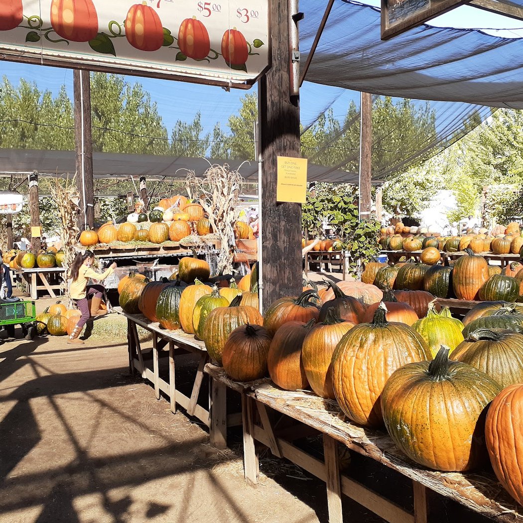 Live Oak Canyon Farm 3
