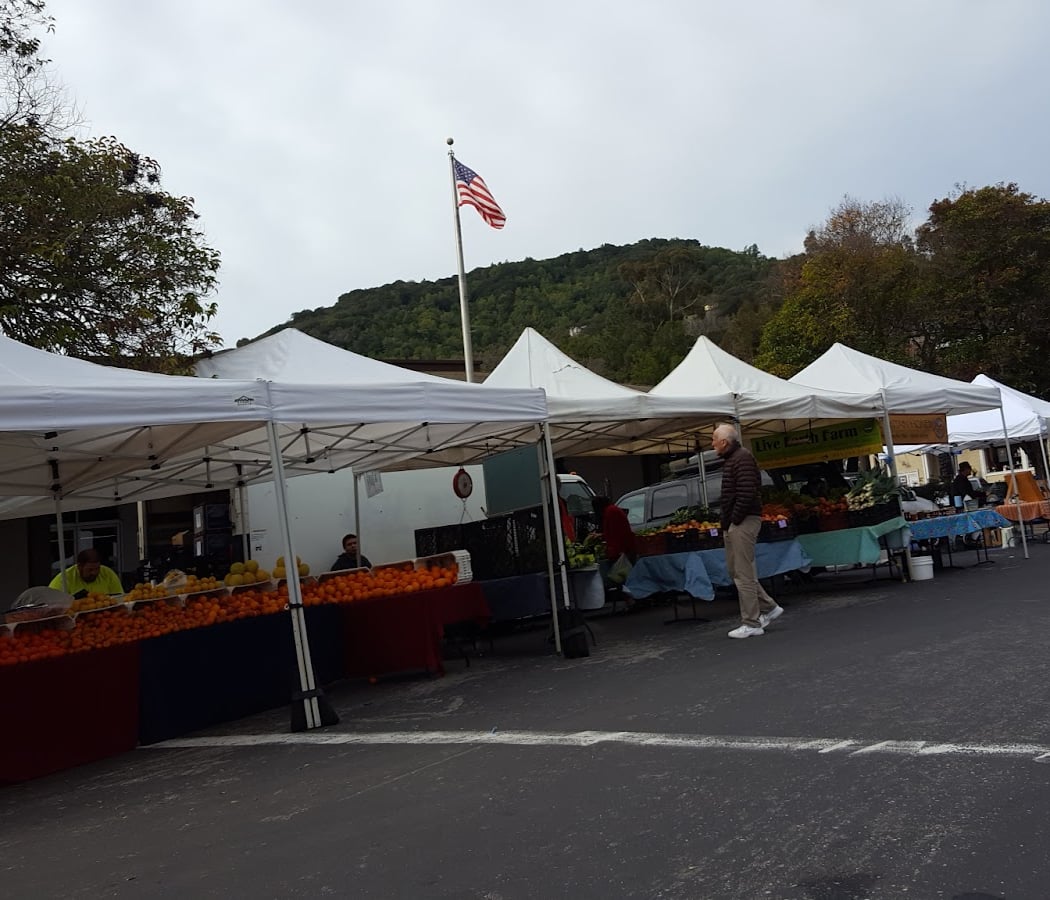 Kid's Day at Market 2