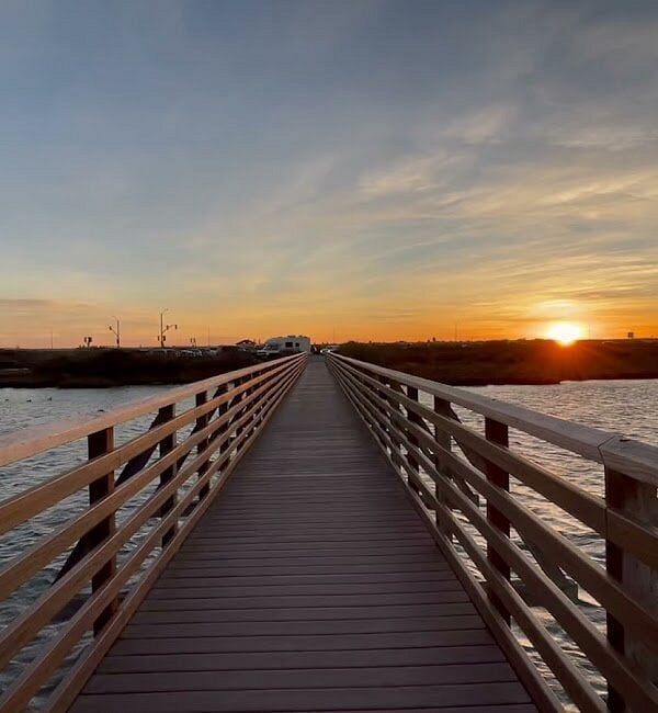 Bolsa Chica Stewards Habitat Restoration 2