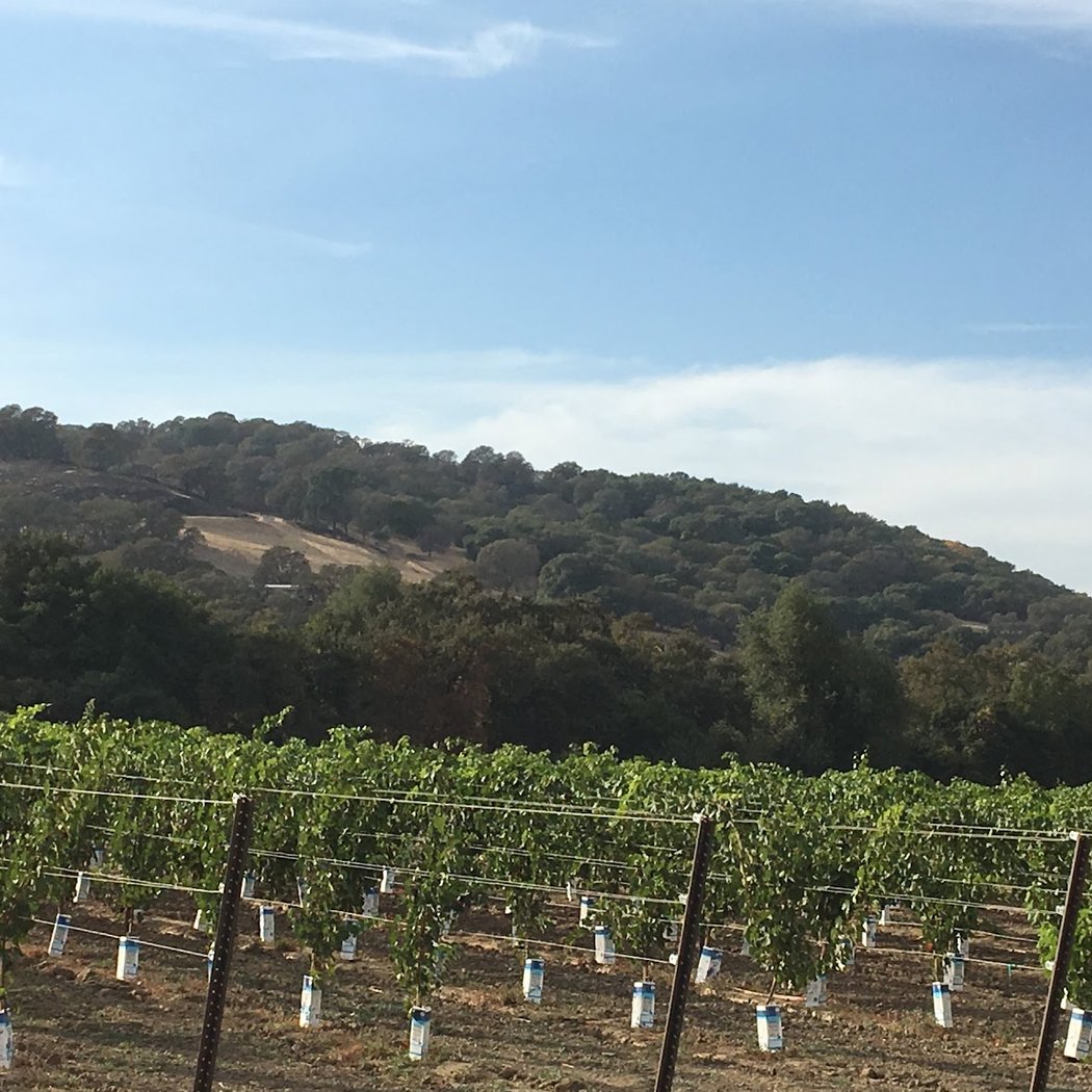 Suisun Valley 3