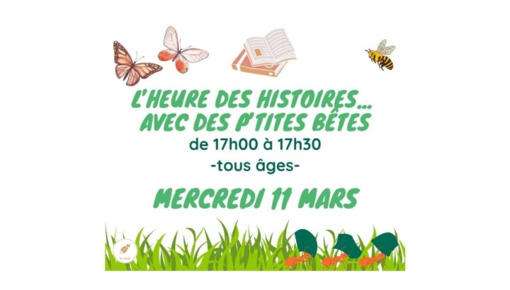 L’heure des histoires « petites bêtes » 1