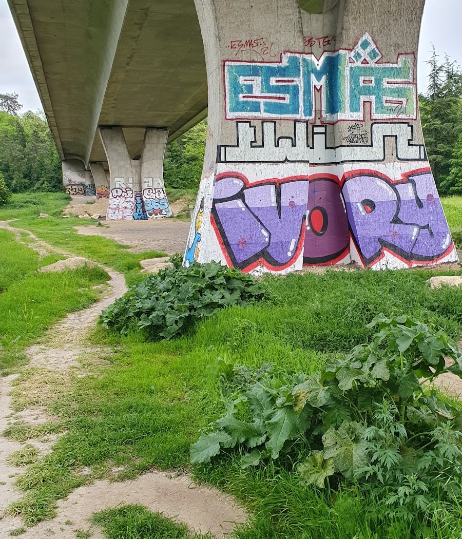 Berges de l'oise de Neuville sur Oise 2