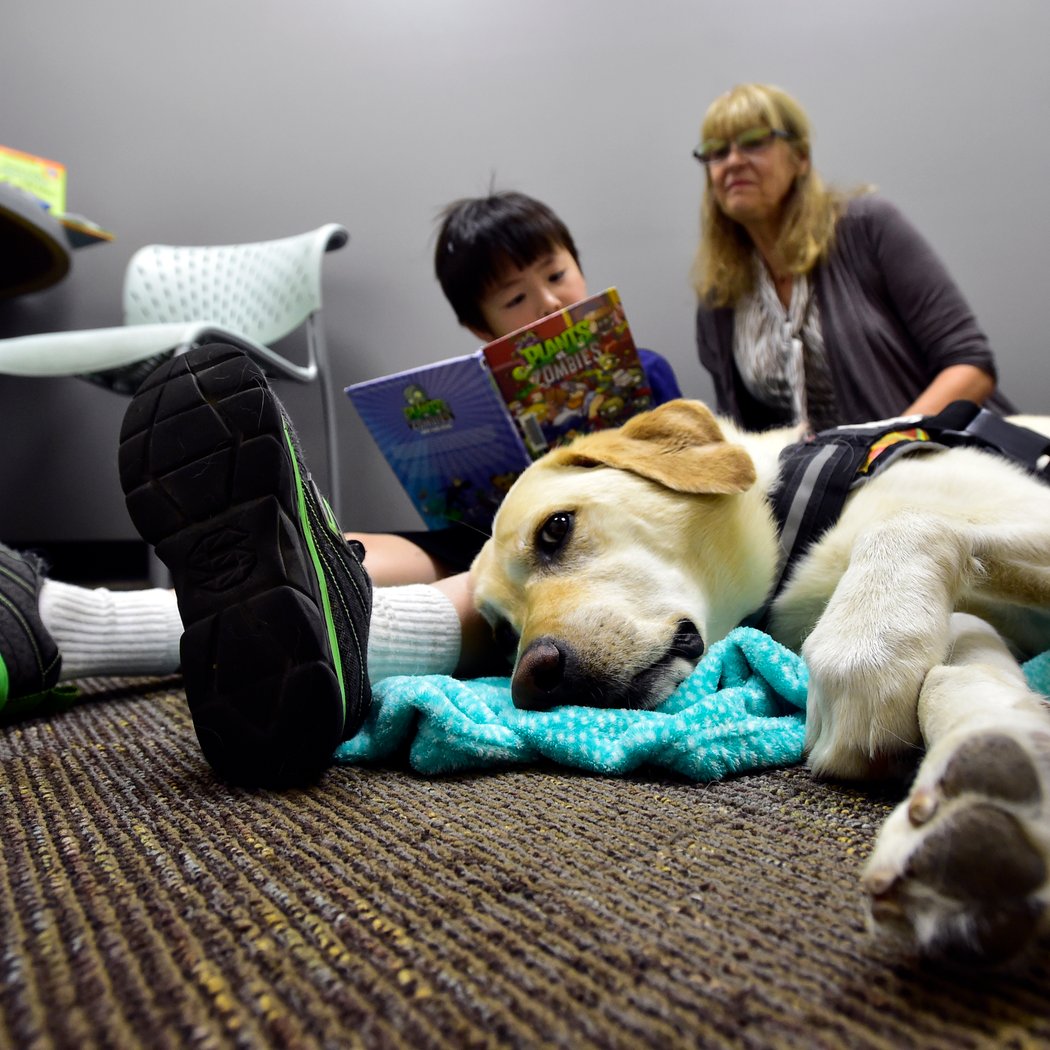 Paws & Pages 2