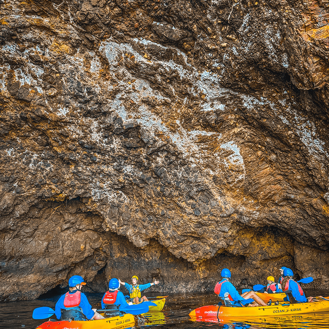 Guided Sea Cave Kayaking Tour 1