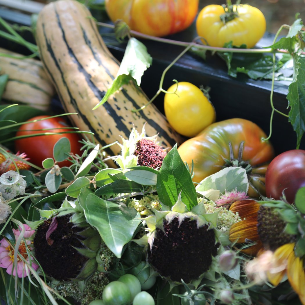 Edible Gardening for Spring & Summer 1