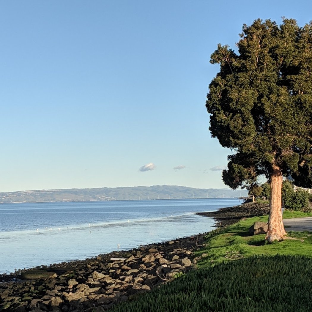 Bayside Park 3