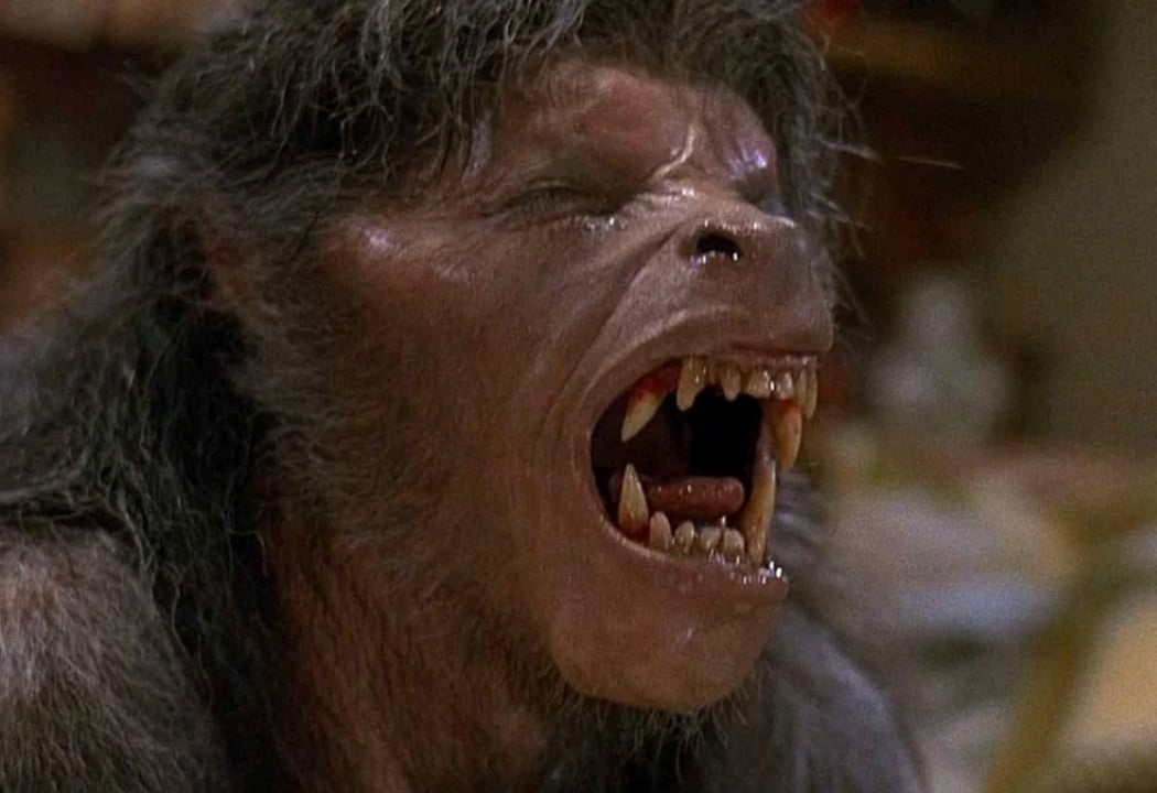 An American Werewolf in London 1