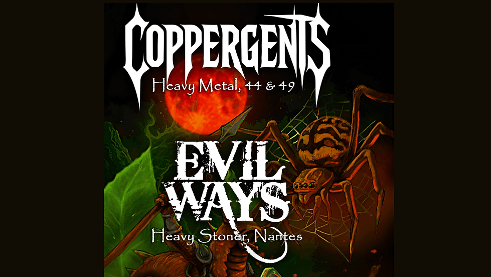 Soirée Heavy 1