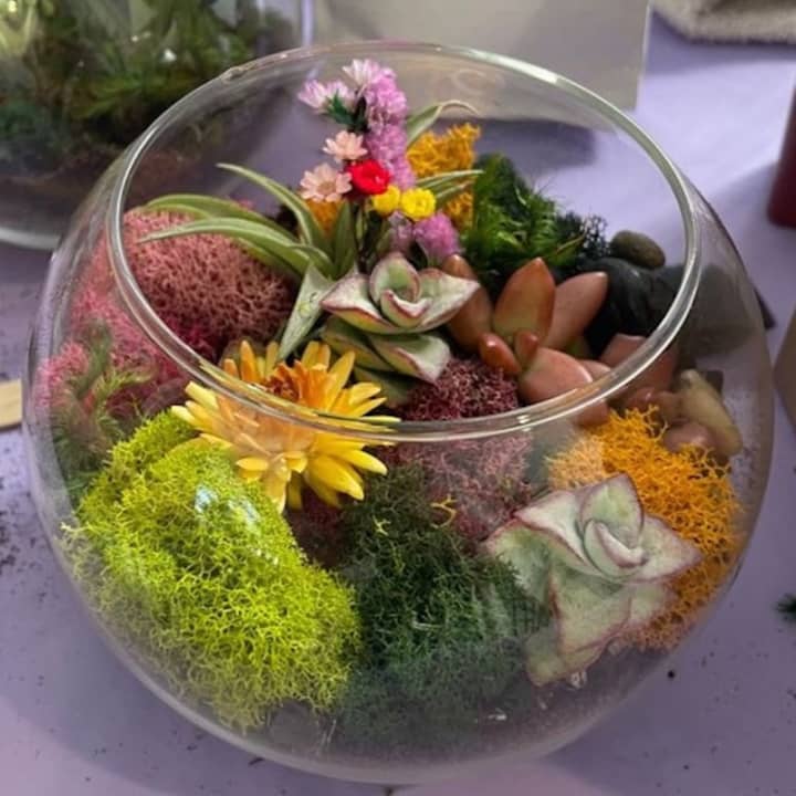 Closed Eco-System Terrarium Class 2