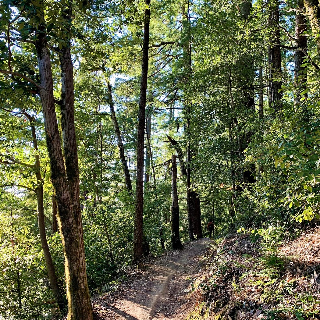 Sierra Morena Trail Access point 2