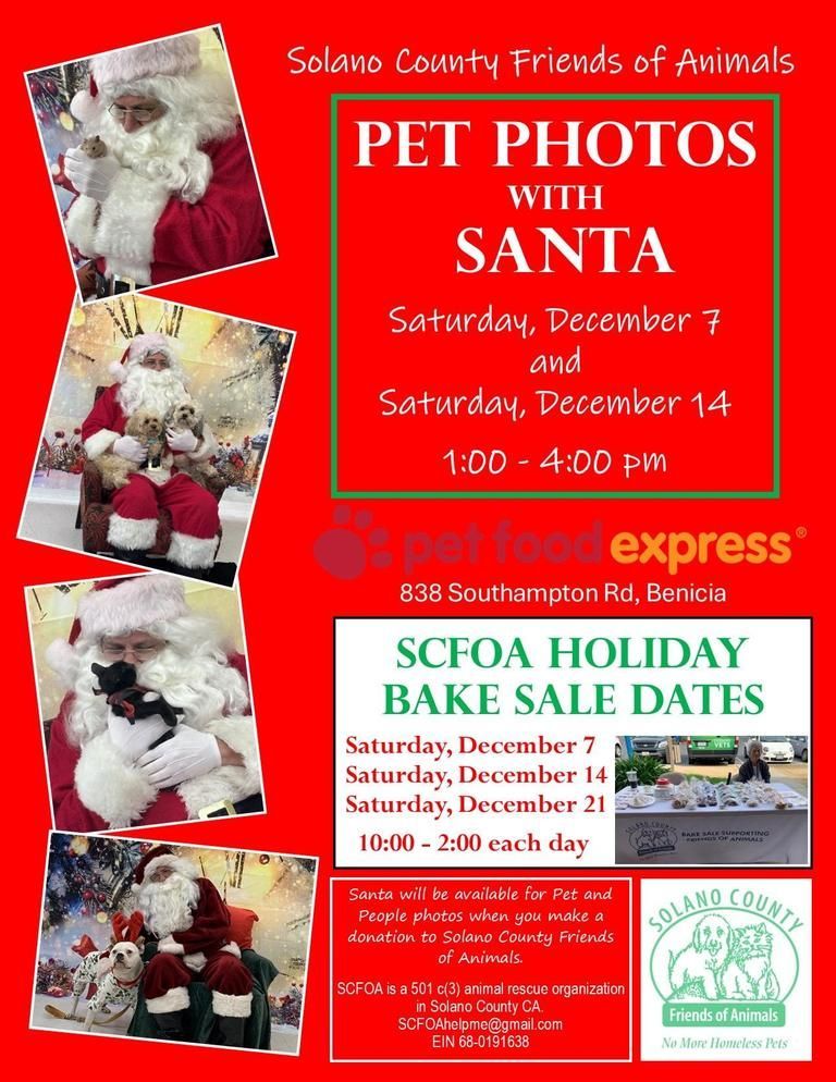 Pet Food Express 1