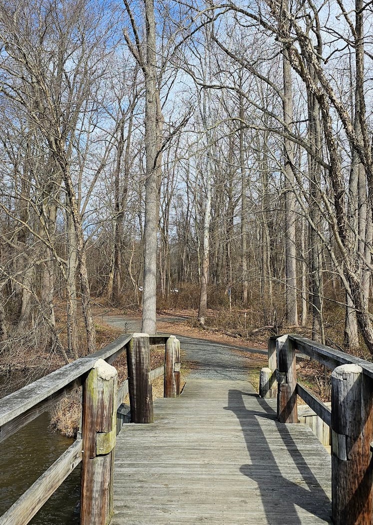 Lums Pond Nature Center 3