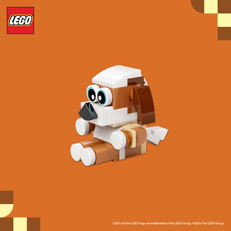 Build a LEGO® Puppy at The LEGO Store 1