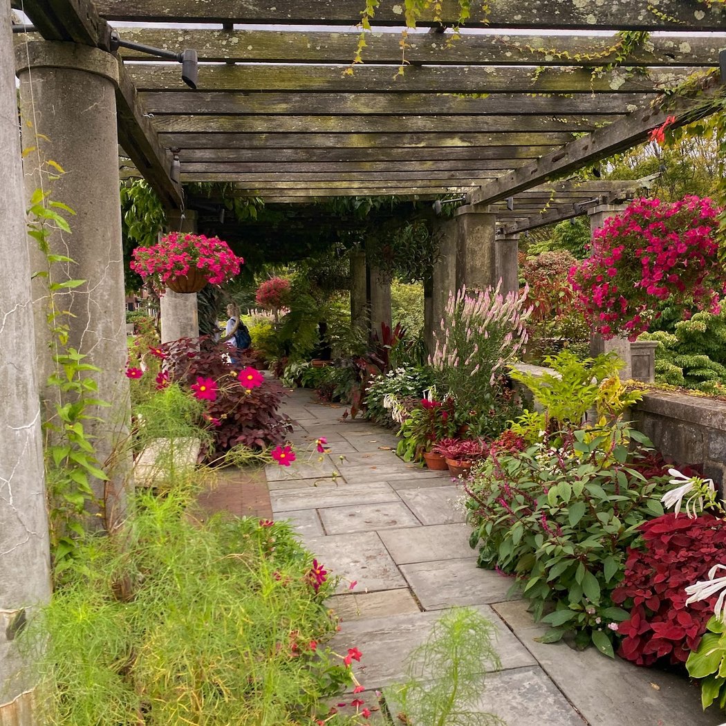 Gardeners' Party 3