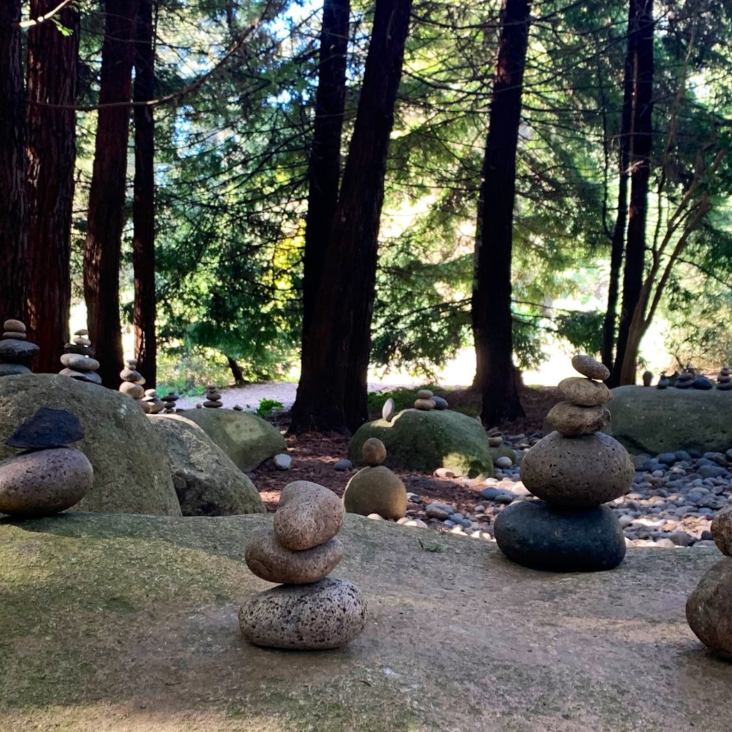 Light in the Grove 1