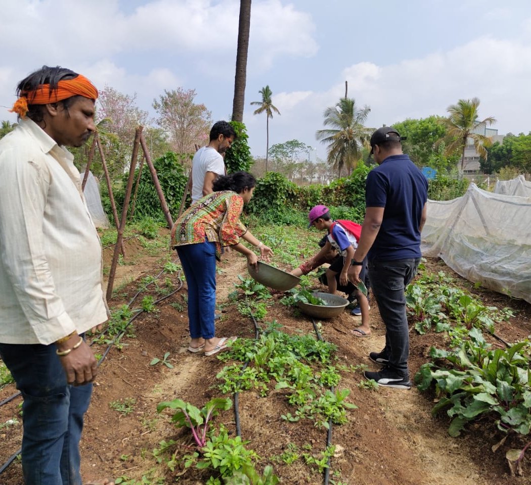 GOODEARTH ECO FARM, doddabele 1