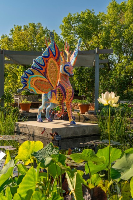 Sonoma Botanical Garden 2