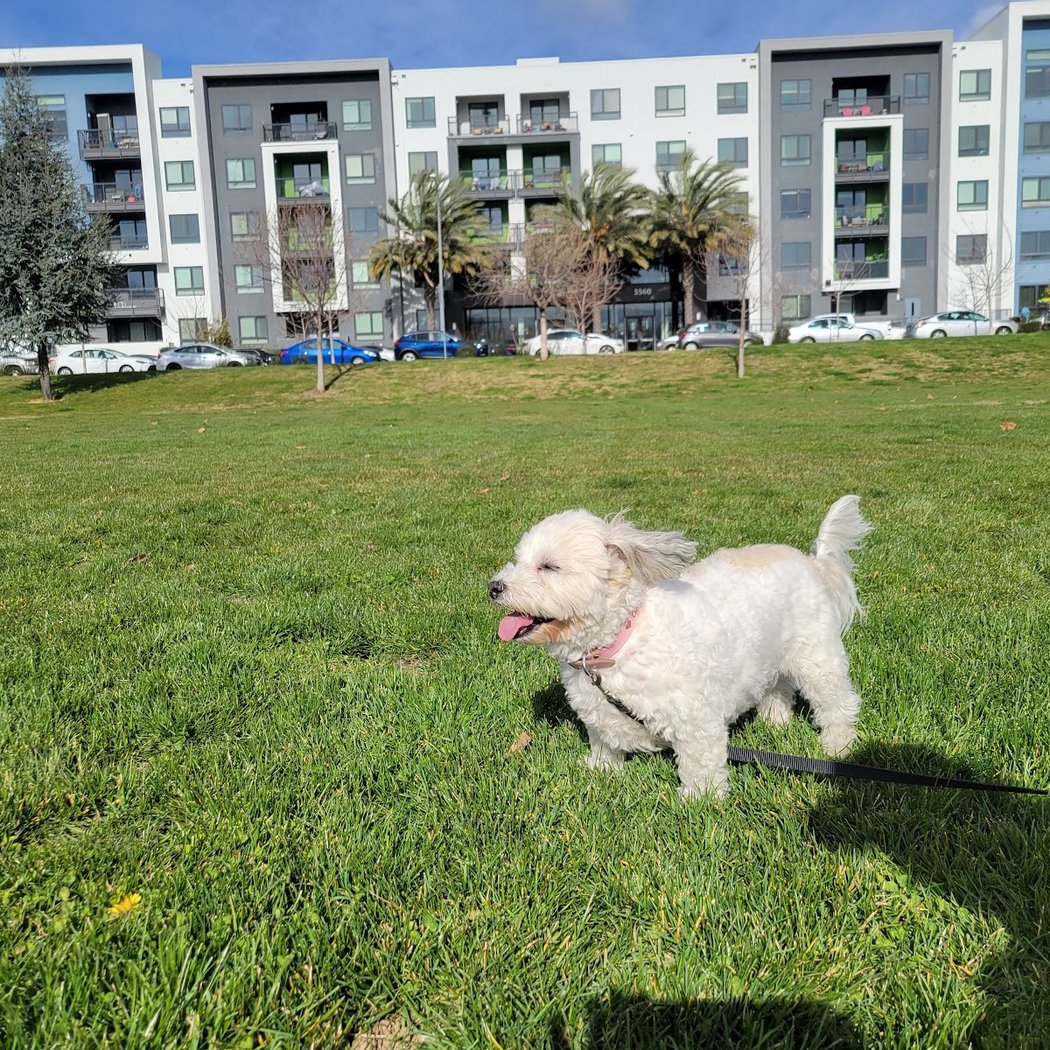Ramac Park 2