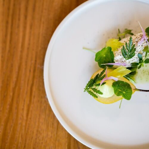 L'œuf de coq restaurant Lavaur 1