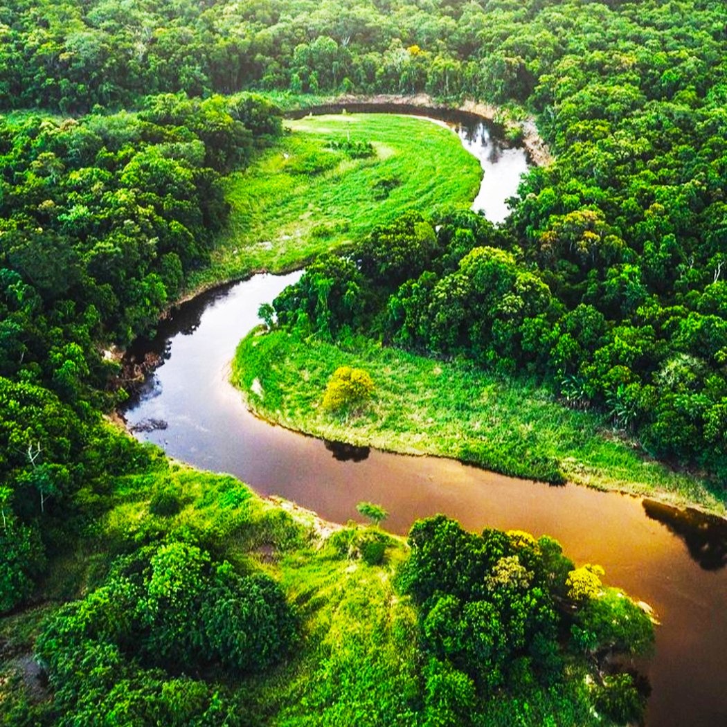 Amazon River 2