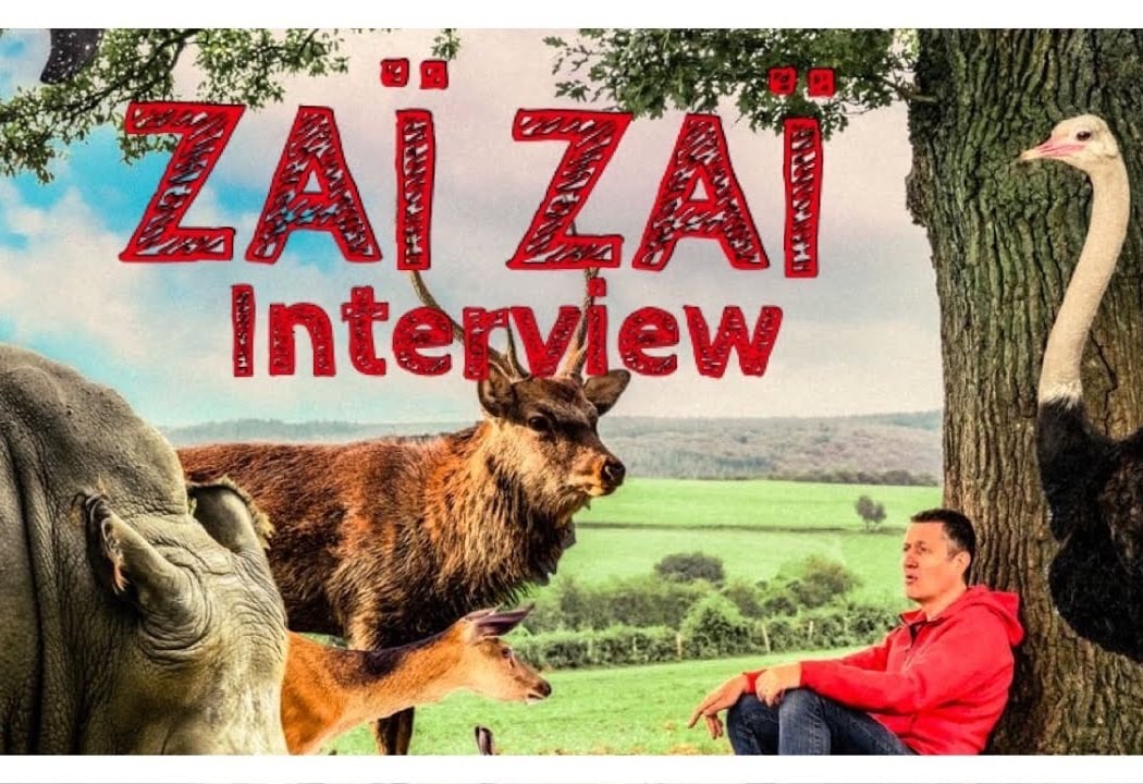 Zaï Zaï 2