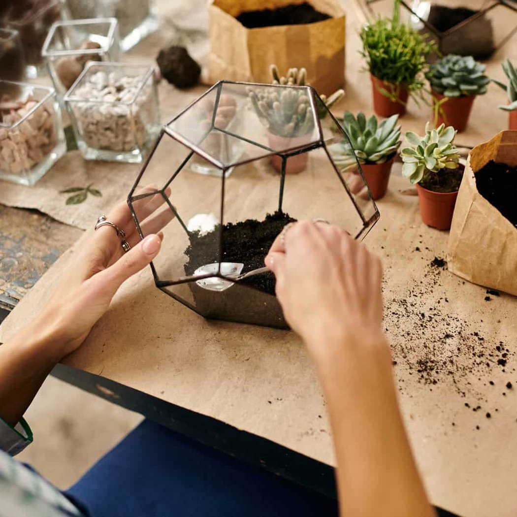Succulent Plant and Paint Workshop 2
