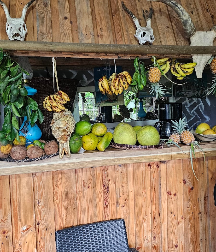 Nursery de l'est plantation de vanille bio 3