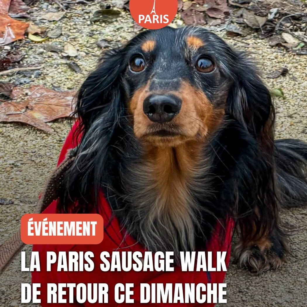 Paris Sausage Walk (Marche des Teckels) 1