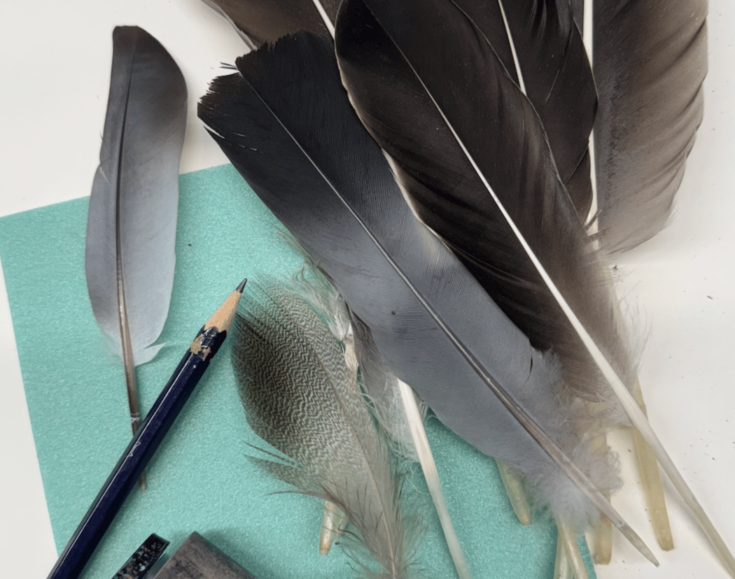 Flyv frie fugle - workshop