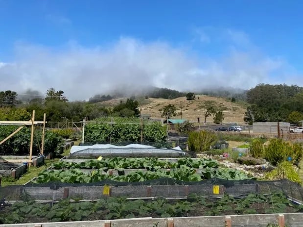 Pacifica Gardens 2