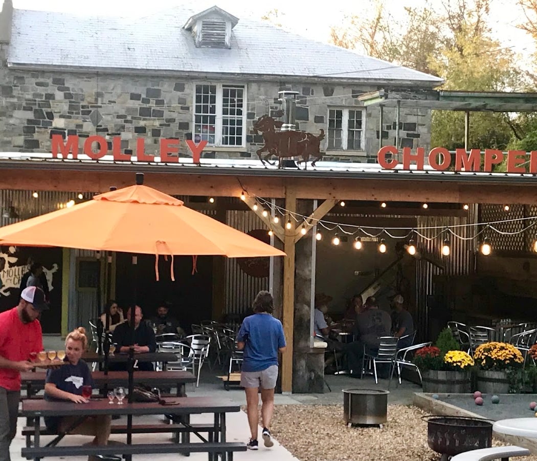 Molley Chomper Hard Cider 2