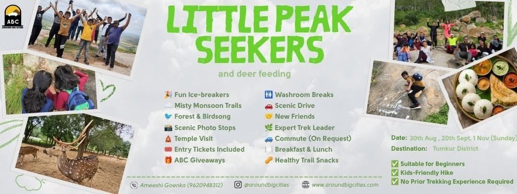 Little Peak Seekers