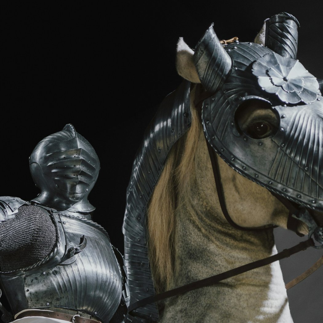 The Deering Family Galleries of Medieval and Renaissance Art, Arms, and Armor 1