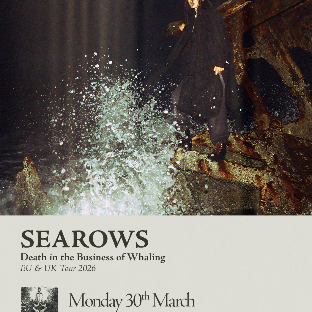 Searows 1