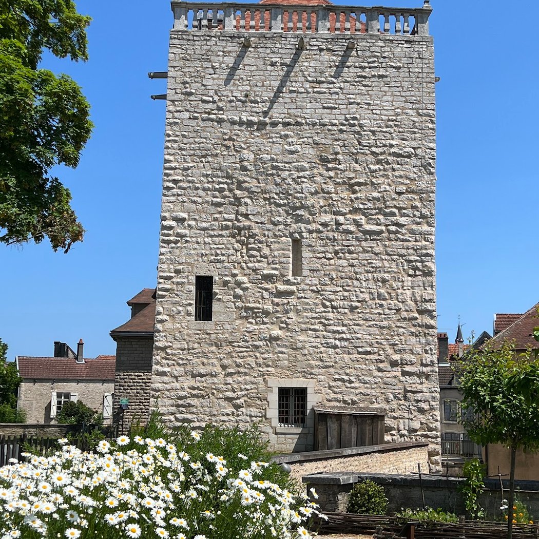 Donjon de Chaumont 1