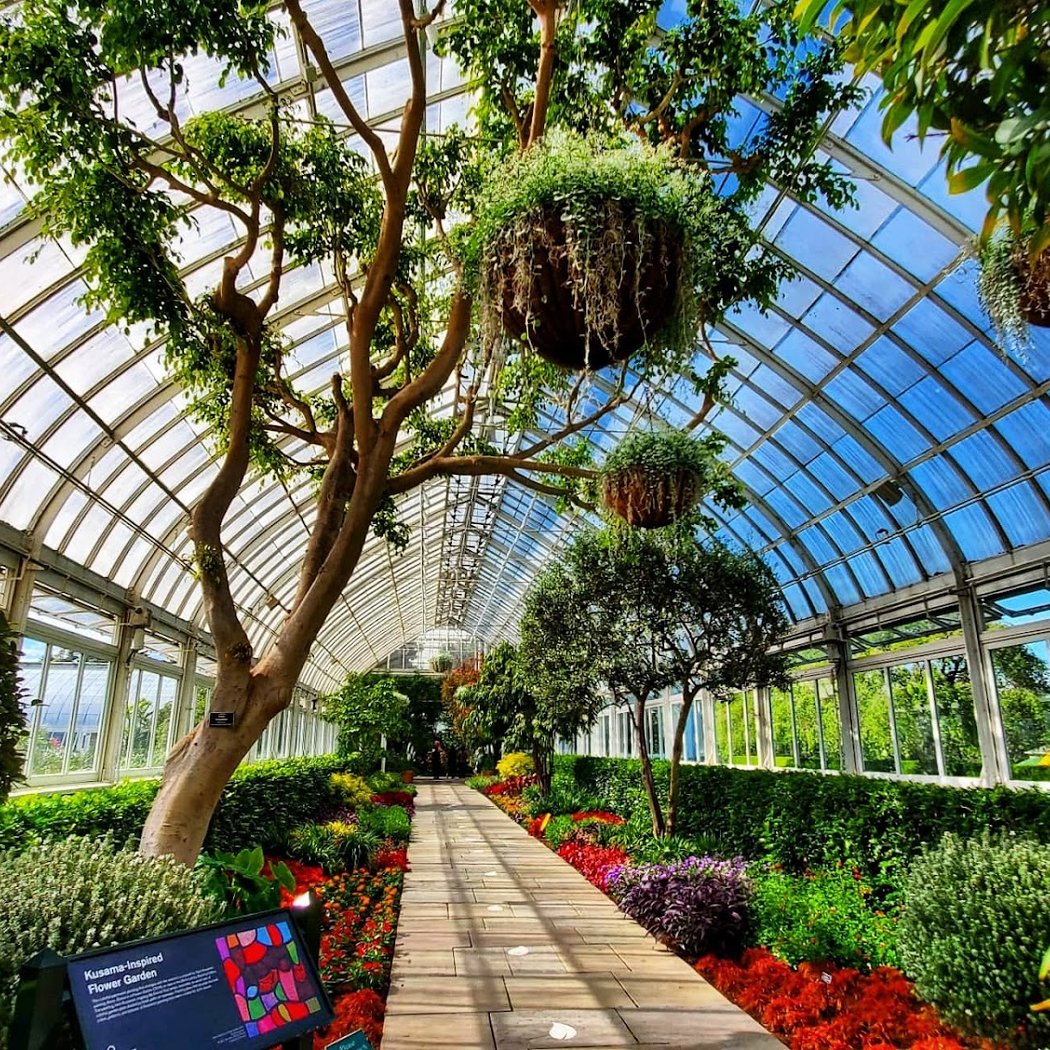 Flower Power at NYBG 3