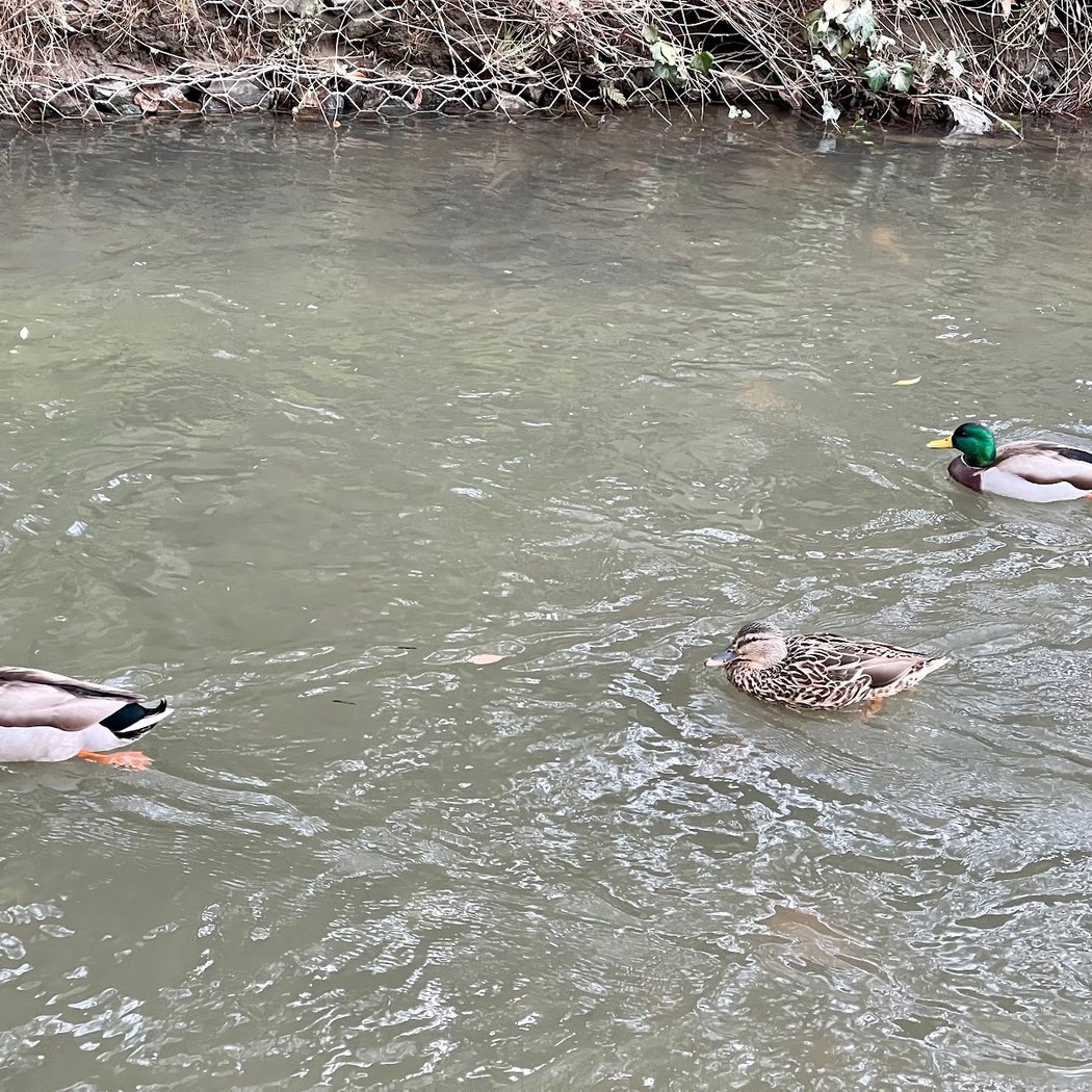 Gateway Park 3