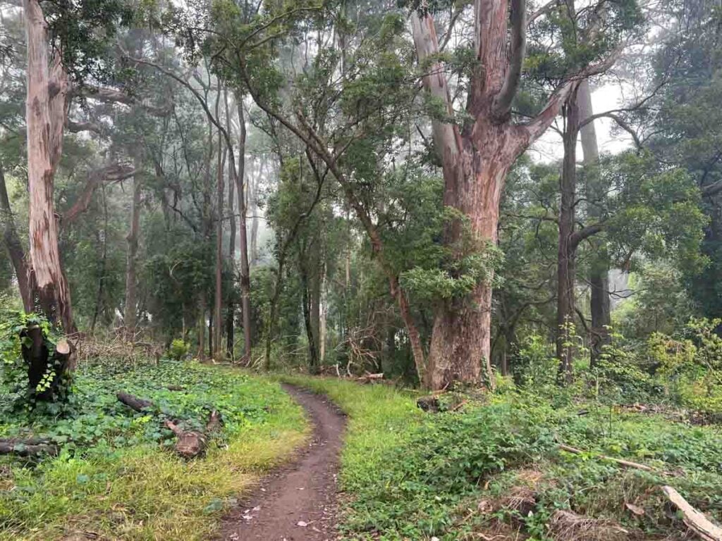 Intersection of the Crosstown Trails 2