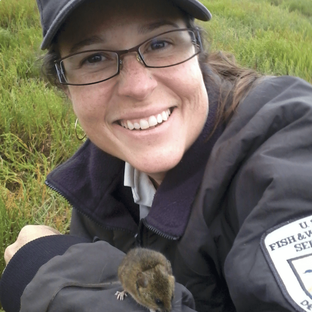 Speakers Series: Changes in the San Pablo Bay National Wildlife Refuge Tidal Marshes 1